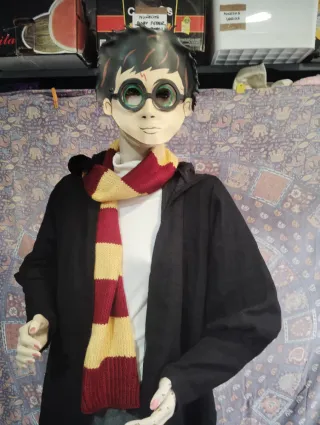 Disfraz Harry Potter