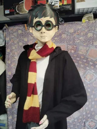 Disfraz Harry Potter