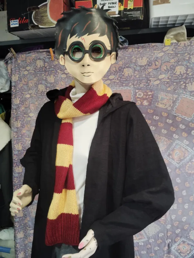 Disfraz Harry Potter