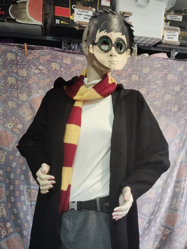 Disfraz Harry Potter