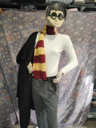 Disfraz Harry Potter