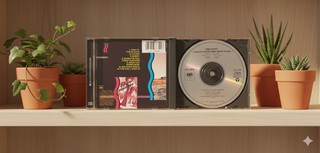 CD Pink Floyd: A Collection of Great Dance Songs