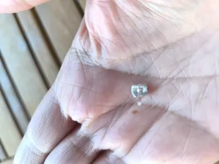 Pendientes Tous Icon oso nacar