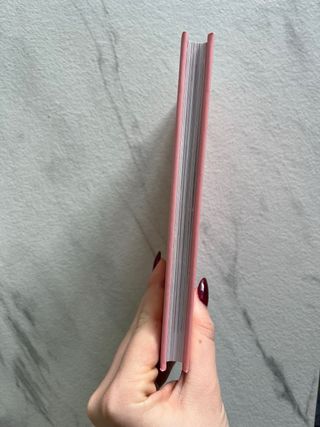 Pequeño libro de Valentino