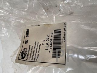 Tulipa Lancia y 10  LLA072 nuevo