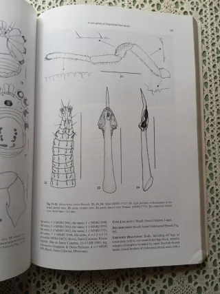 Aracnología 2004. Revista Ibérica.