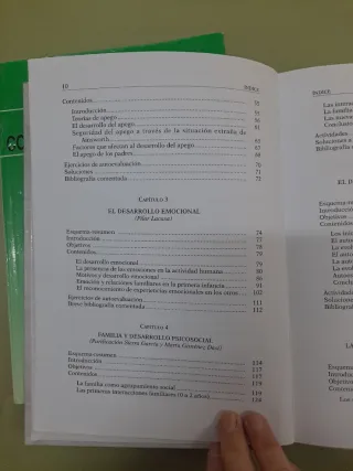 Psicología evolutiva I. Vol. II. Desarrollo soc...
