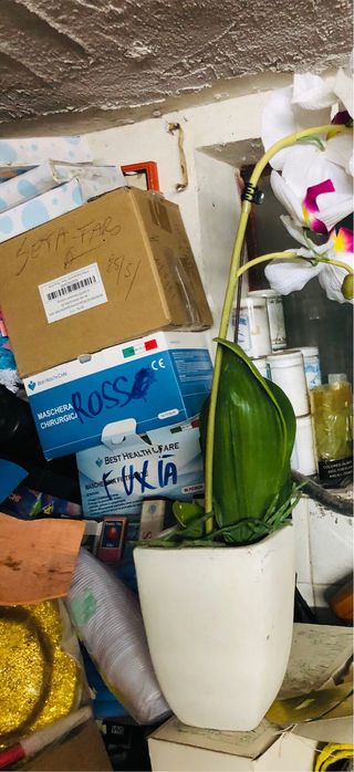 Vaso con orchidea bianca e fucsia