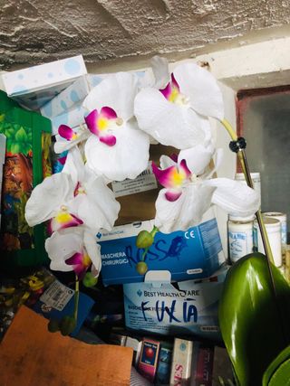 Vaso con orchidea bianca e fucsia