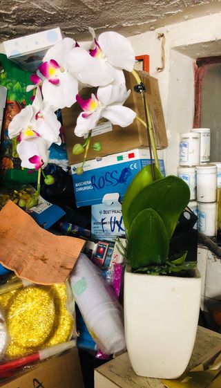 Vaso con orchidea bianca e fucsia