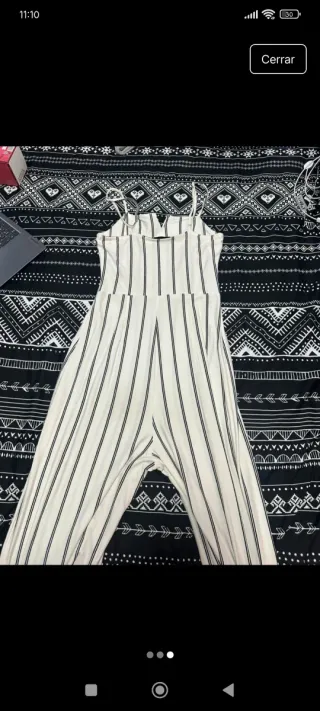 Mono rayas blanco y negro