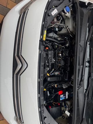 Citroen Berlingo XL 2022