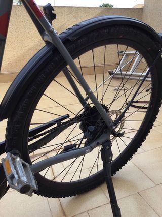 Bicicleta Eléctrica Pegasus