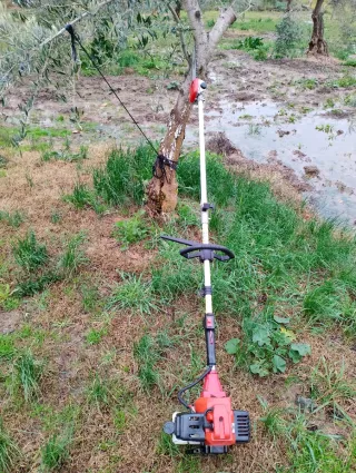 Motosierra poda altura marca POWER GROUND 52cc