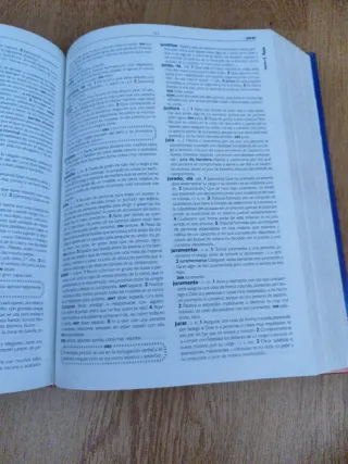 Diccionario de Secundaria y Bachillerato (DICCI...