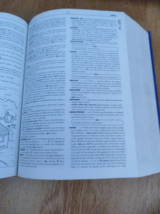 Diccionario de Secundaria y Bachillerato (DICCI...