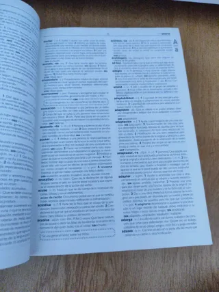 Diccionario de Secundaria y Bachillerato (DICCI...