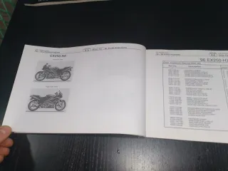 Catálogo Kawasaki ZZ-R250 EX250-H7/H8/H9