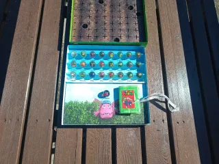 Album The Fresh Heads Lidl