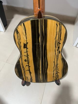 Guitarra Antonio de Toledo 17 EB
