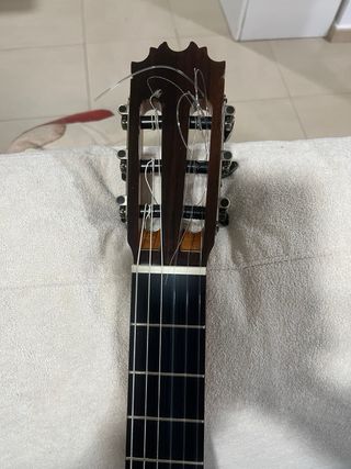 Guitarra Antonio de Toledo 17 EB