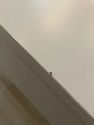 Mesa de comedor blanca de madera