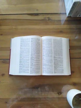 Lengua Espanola: Diccionario Avanzado (Spanish ...