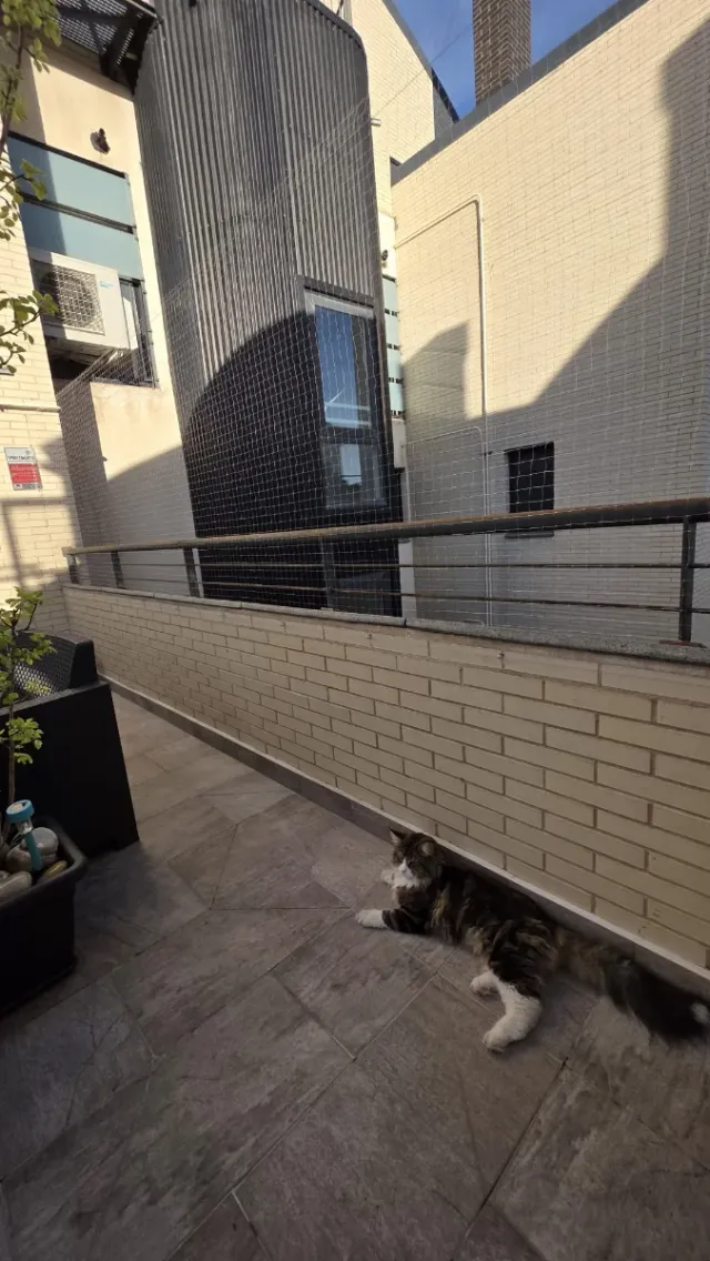 instalación red balcón gatos
