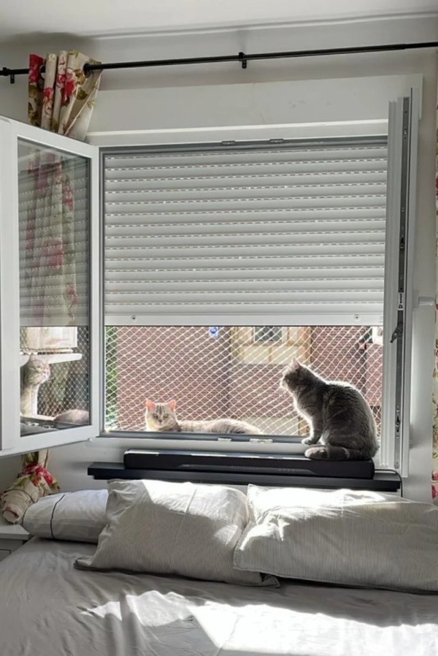 instalación red balcón gatos