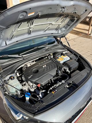 Hyundai i30 N Fastback Performance Sky 275cv