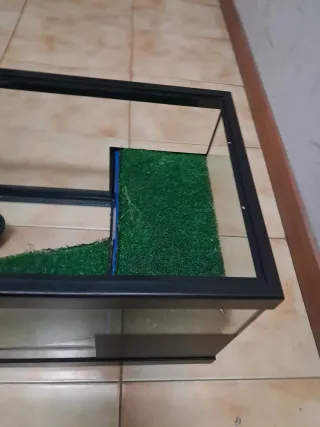 Acuario/Terrario para tortugas