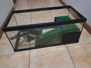 Acuario/Terrario para tortugas