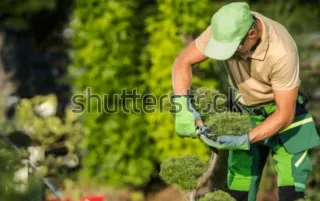 Jardinero profesional