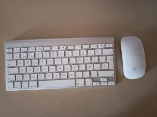 Apple Magic Mouse 1 y Teclado 1