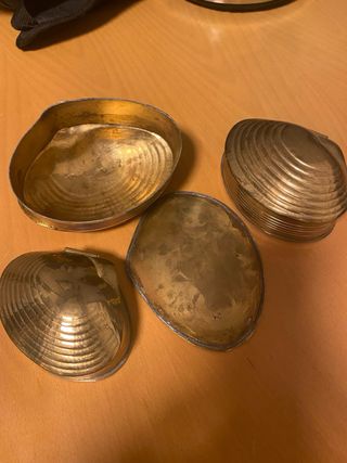 Cajas de bronce forma almeja