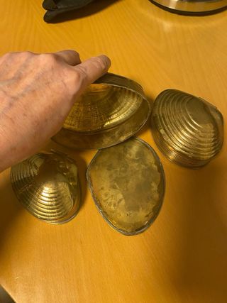 Cajas de bronce forma almeja