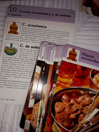 355 RECETAS DE COCINA EN FICHAS INDIVIDUALES