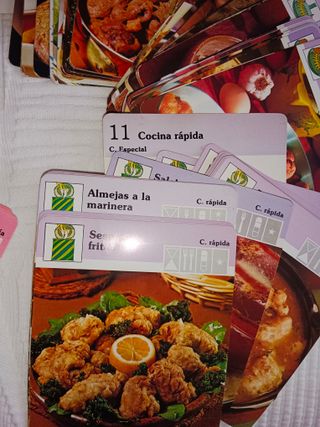 355 RECETAS DE COCINA EN FICHAS INDIVIDUALES