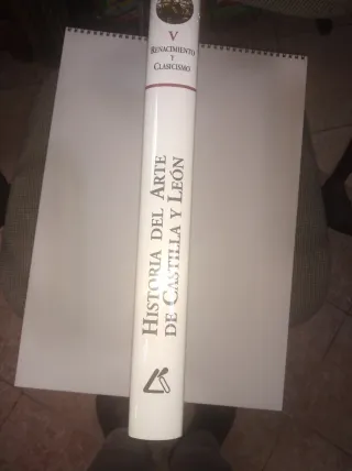 HISTORIA DEL ARTE DE CASTILLA Y LEÓN TOMO V