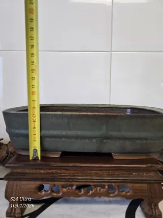 Maceta bonsai cerámica