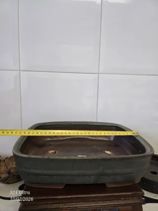 Maceta bonsai cerámica