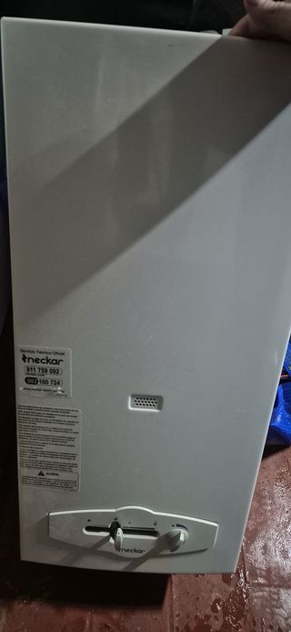 Calentador de gas Neckar