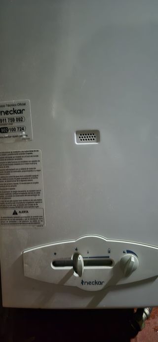 Calentador de gas Neckar