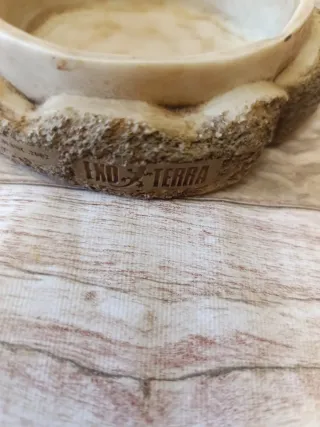 Dispensador Grillos Exo Terra