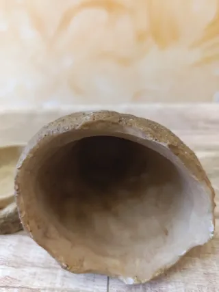 Dispensador Grillos Exo Terra