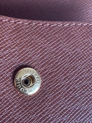 Louis Vuitton Monogram.