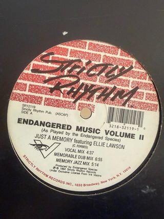 Dischi in vinile house dj