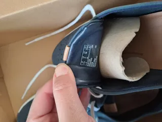 Zapatos náuticos Clarks azules perforados