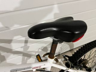 Bicicleta infantil 20