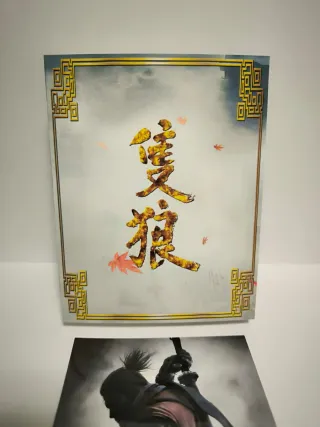 Funda Doble PS4 Sekiro Shadows Die Twice Steel+CJ